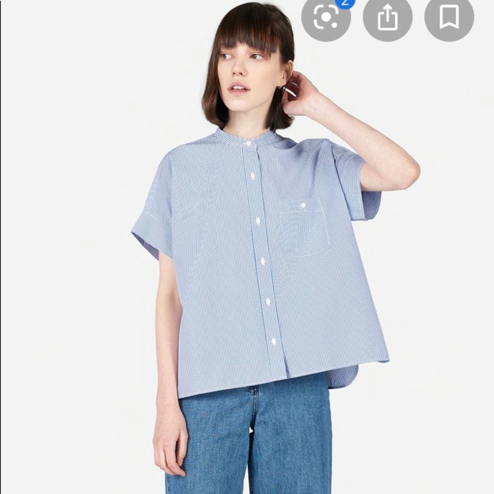 Everlane striped cotton poplin square shirt